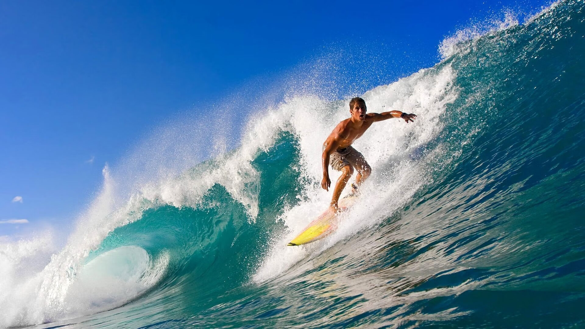 从美网鏖战到年终加冕,兹维列夫的统治力进化论